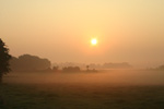 Morgennebel